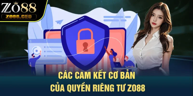 Các cam kết cơ bản của quyền riêng tư Zo88
