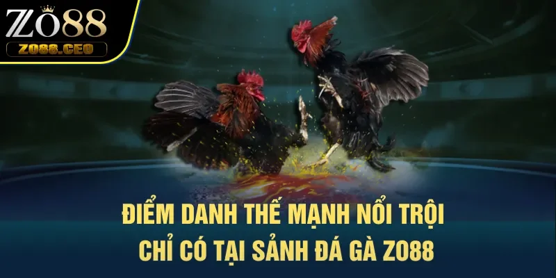 Điểm danh thế mạnh nổi trội chỉ có tại sảnh đá gà Zo88