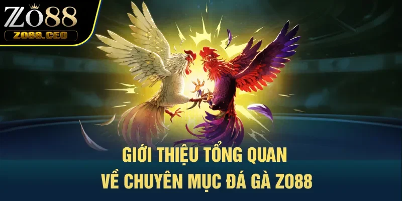 Giới thiệu tổng quan về chuyên mục đá gà Zo88