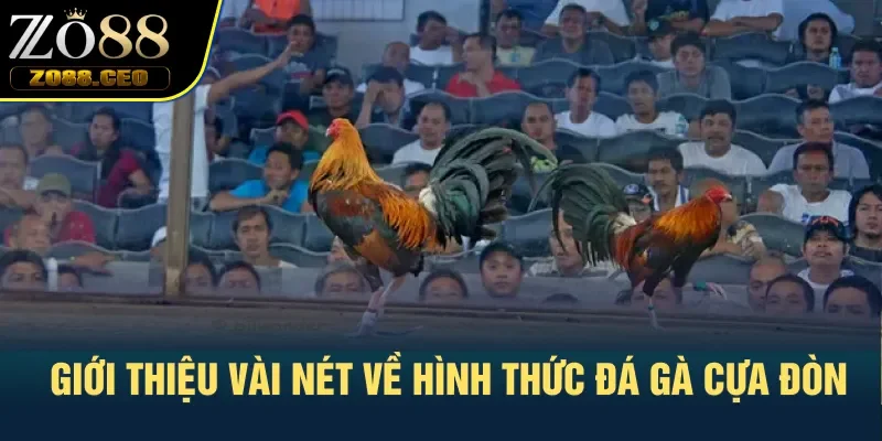Giới thiệu vài nét về hình thức đá gà cựa đòn
