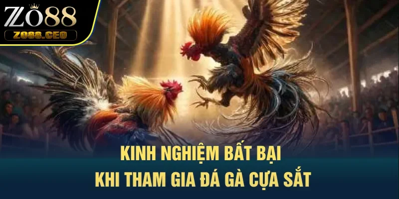 Kinh nghiệm bất bại khi tham gia đá gà cựa sắt
