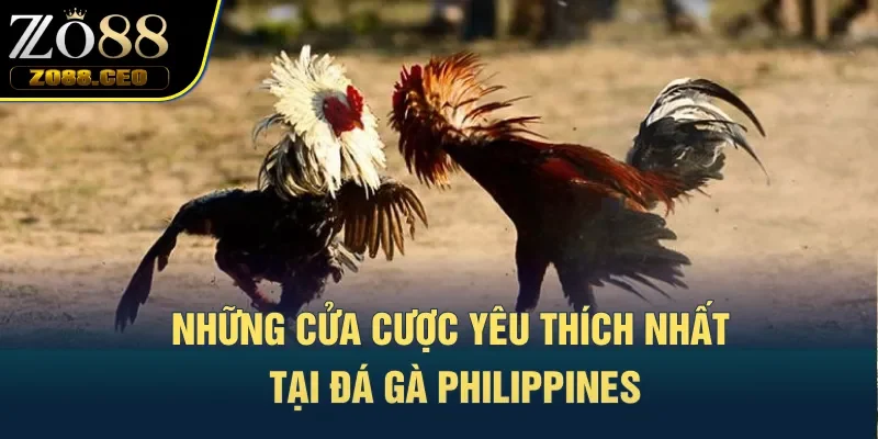 Những cửa cược yêu thích nhất tại đá gà Philippines